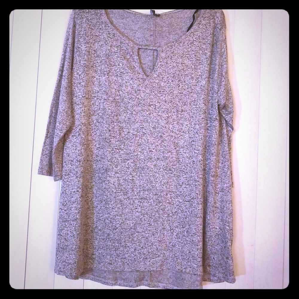 Taupe & Grey Sweater (women's plus)